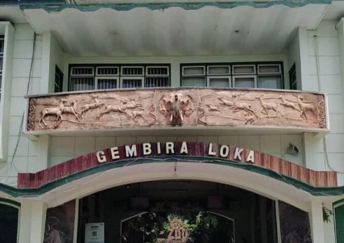 SEWA MOBIL SEMARANG DYAN TRANSPORT