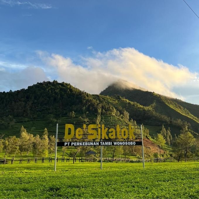 SEWA MOBIL SEMARANG DYAN TRANSPORT