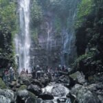 SEWA MOBIL UNGARAN DYAN TRANSPORT