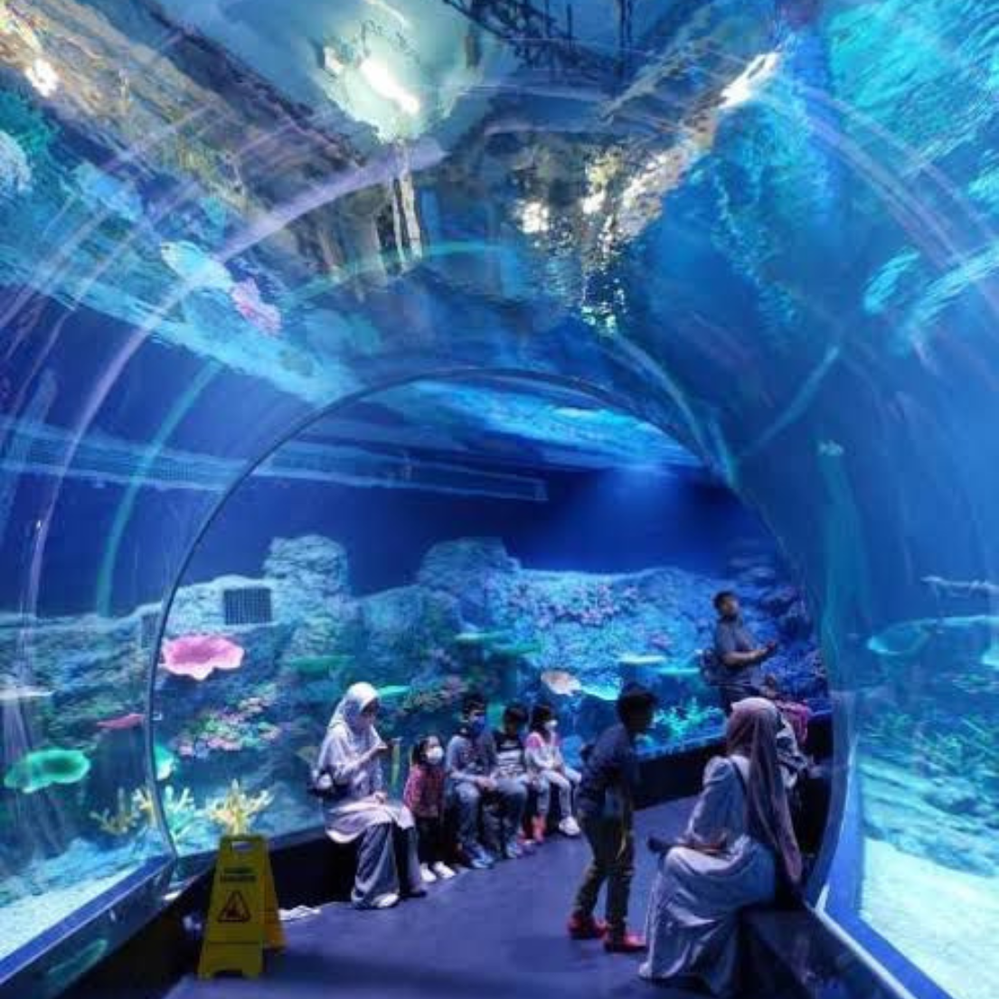 Sewa Mobil Semarang Dyan Transport