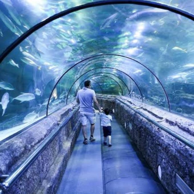 Tampilan lorong bawah laut yang estetik