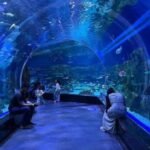 SEWA MOBIL SEMARANG BERWISATA KE BXSEA AQUARIUM