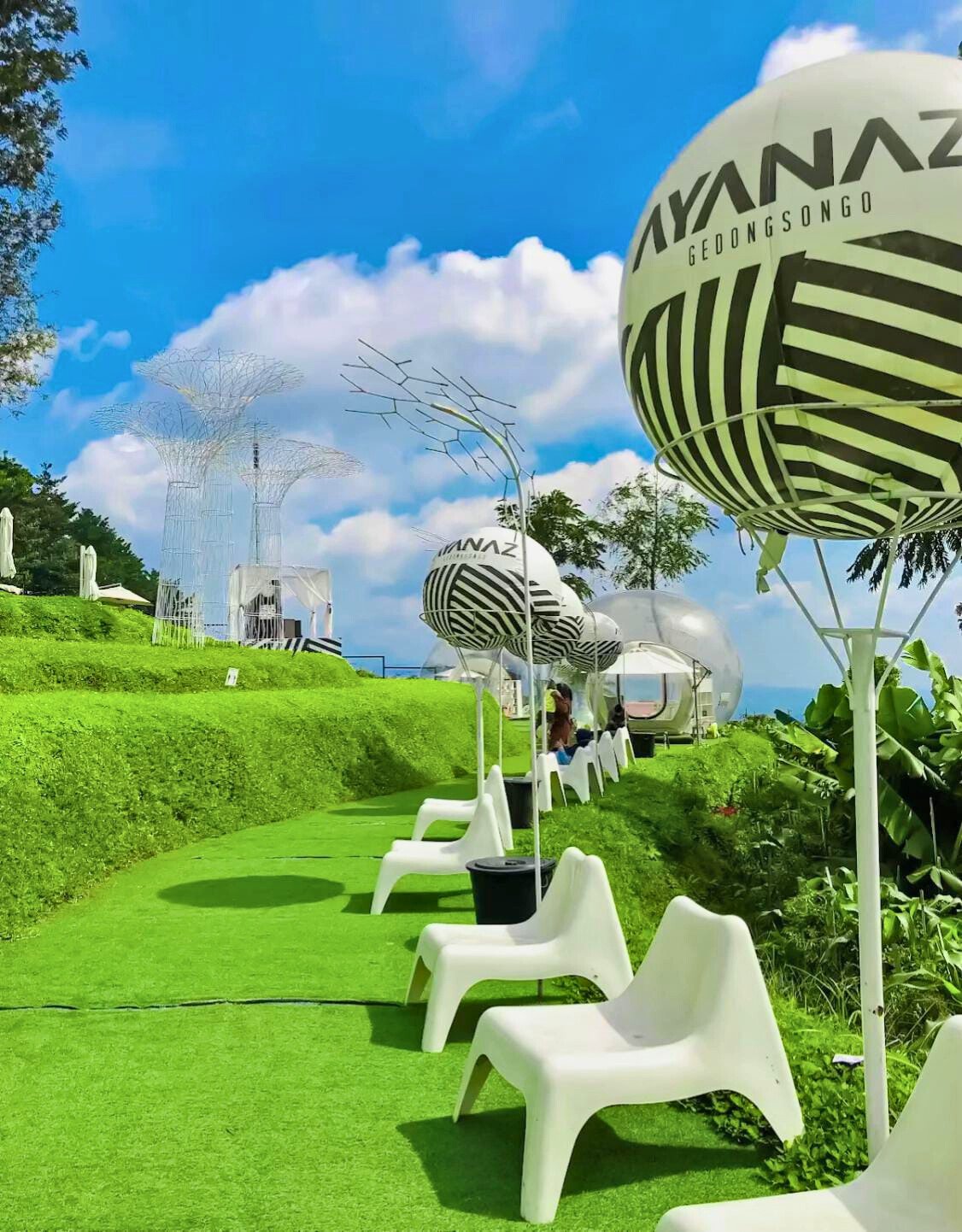 Spot foto kekinian di dataran tinggi dengan pemandangan cantik dan udara sejuk.