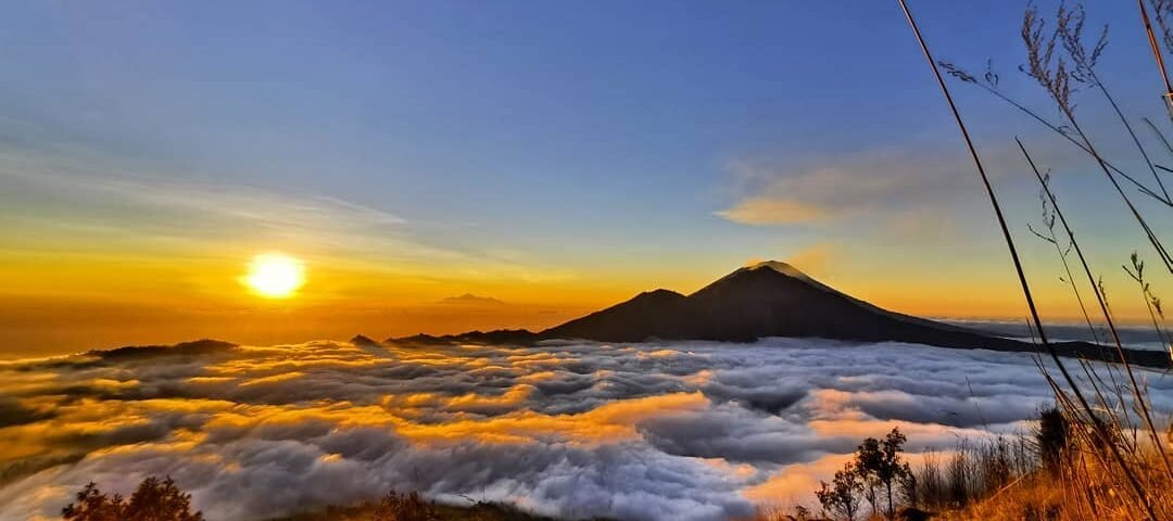 Sunrise over a sea of clouds with a silhouetted volcano on the horizon and golden grasses in the foreground; warm colors dominate the scene.