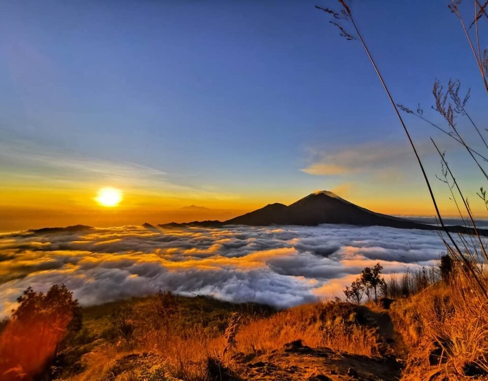 Sunrise over a sea of clouds with a silhouetted volcano on the horizon and golden grasses in the foreground; warm colors dominate the scene.