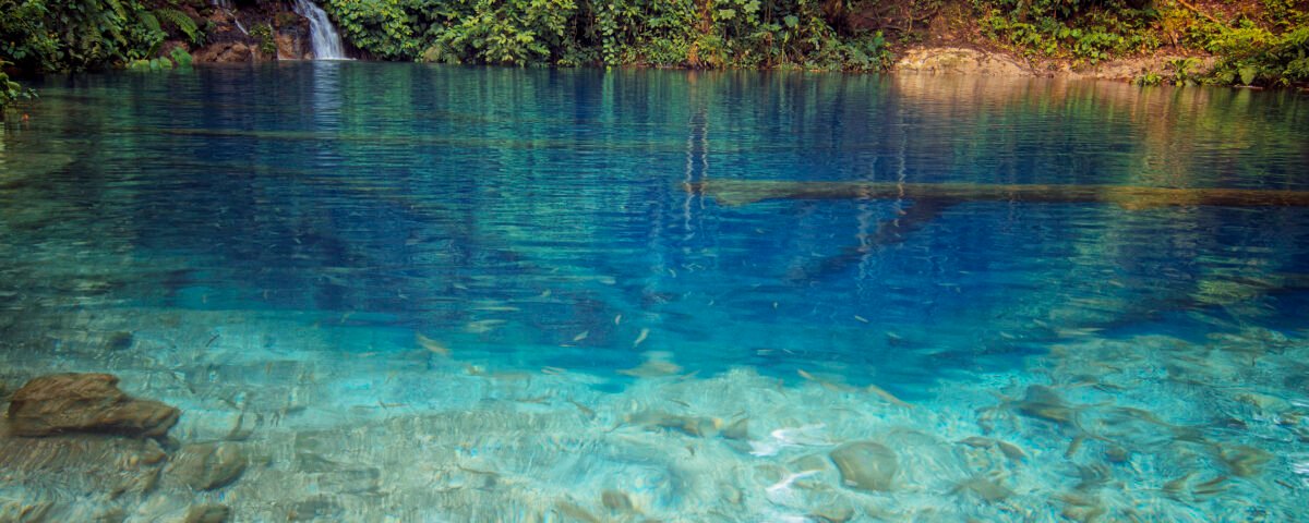 Clear tropical lake with turquoise water and rocky shoreline, dense green jungle along the banks and a small waterfall on the left.