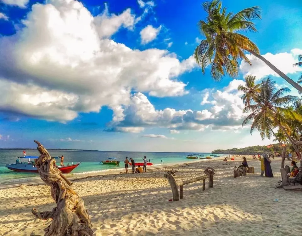 Tropical beach scene with palm trees, white sand, calm turquoise water, and several small boats near shore under a blue sky with clouds.