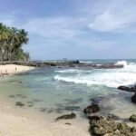 Tropical beach scene with palm trees, calm turquoise water, and people wading near the shore while rocky outcrops edge the ocean.