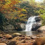 Autumn forest scene with orange and yellow leaves and a small waterfall flowing into a rocky pool.