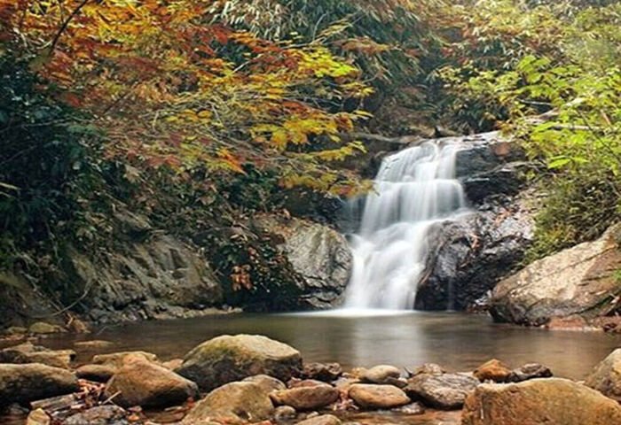 Autumn forest scene with orange and yellow leaves and a small waterfall flowing into a rocky pool.