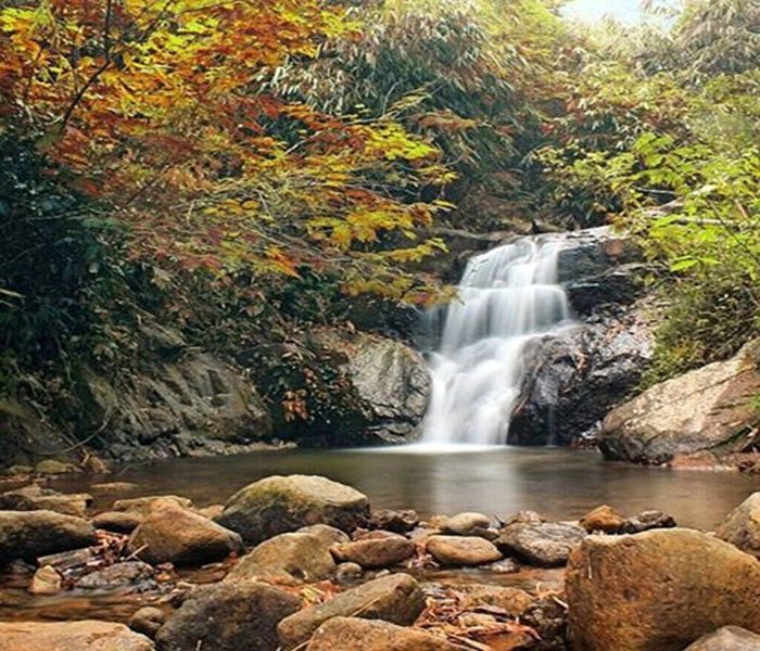 Autumn forest scene with orange and yellow leaves and a small waterfall flowing into a rocky pool.