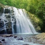 Waterfall cascading over rocks into a shallow pool in a lush green forest.