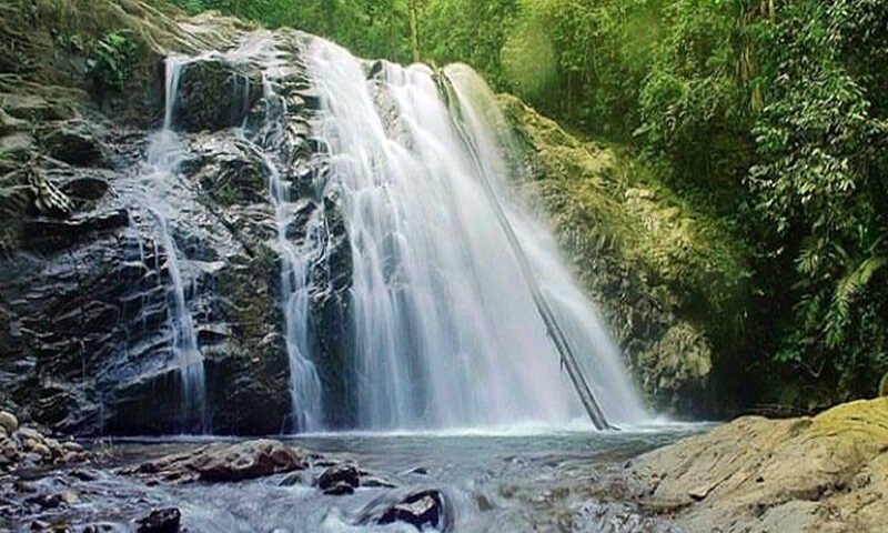 Waterfall cascading over rocks into a shallow pool in a lush green forest.