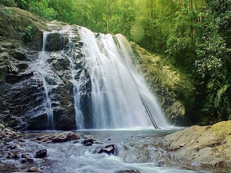 Waterfall cascading over rocks into a shallow pool in a lush green forest.