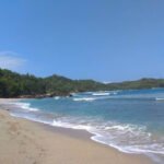 Sunny tropical beach with golden sand, turquoise water, and a forested headland in the distance.