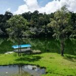 Small wooden dock with a blue-roofed boat on a calm green lake, surrounded by trees outside the water’s edge.