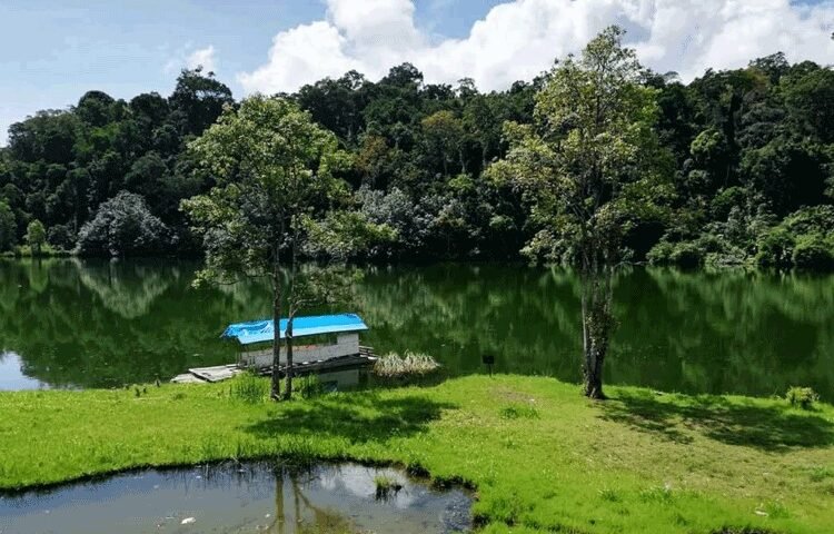 Small wooden dock with a blue-roofed boat on a calm green lake, surrounded by trees outside the water’s edge.