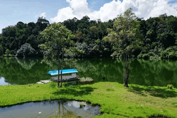 Small wooden dock with a blue-roofed boat on a calm green lake, surrounded by trees outside the water’s edge.