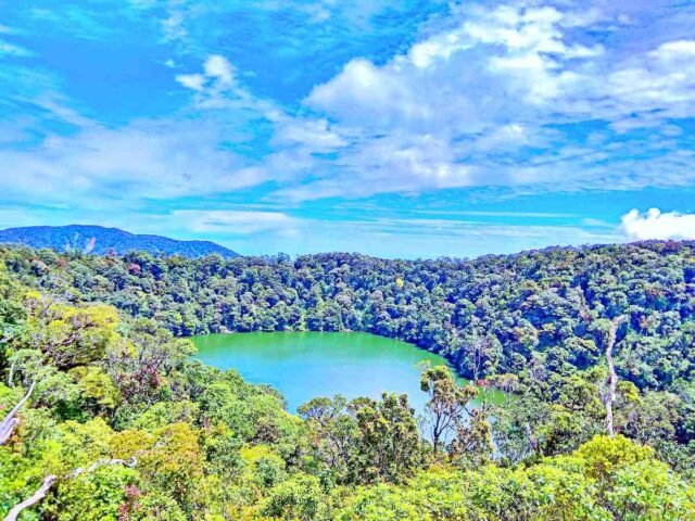 Bright blue sky over a dense green forest surrounding a small turquoise lake at center.