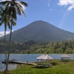 Tropical lakeside scene with two tall palm trees, a calm lake, and a green mountain in the background under a blue sky.