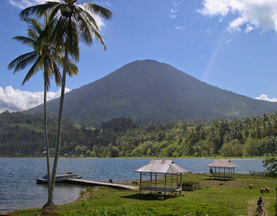 Tropical lakeside scene with two tall palm trees, a calm lake, and a green mountain in the background under a blue sky.