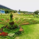Formal garden with a peacock-shaped topiary centerpiece surrounded by concentric flower beds, on a large green lawn with hills and park structures in the background.