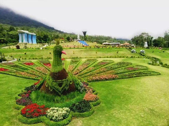 Formal garden with a peacock-shaped topiary centerpiece surrounded by concentric flower beds, on a large green lawn with hills and park structures in the background.