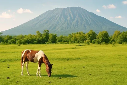 Horse grazing in a green field with a large mountain in the background, under a blue sky.