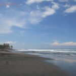 Beach scene with dark wet sand, gentle waves, and palm trees along the left shore.