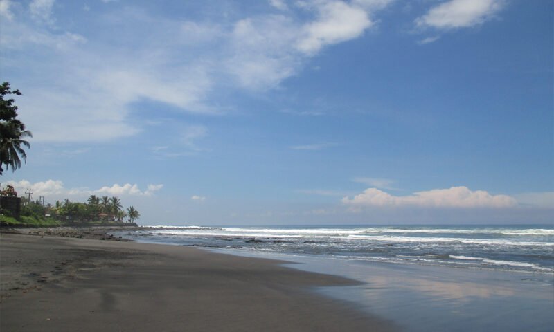 Beach scene with dark wet sand, gentle waves, and palm trees along the left shore.