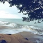 Sandy beach with gentle waves and overhanging tree branches framing the shoreline, sea stretching to the horizon (informative).