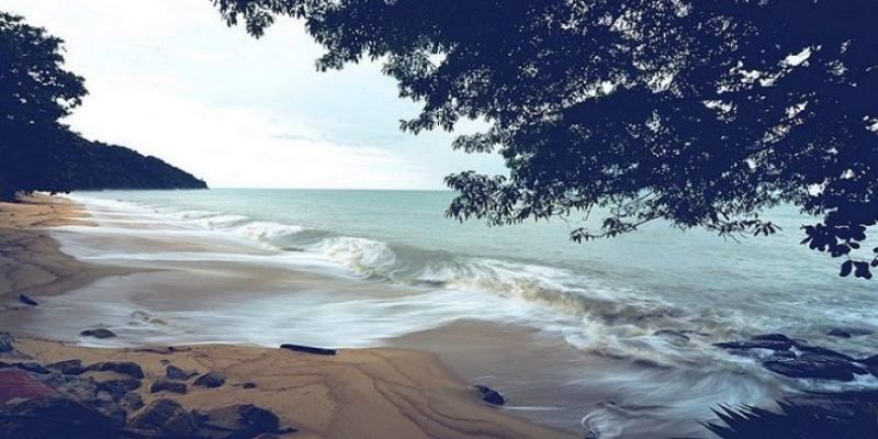Sandy beach with gentle waves and overhanging tree branches framing the shoreline, sea stretching to the horizon (informative).