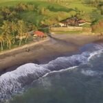 Aerial view of a tropical beach with palm trees, a sandy shore, and cottages near green fields by the water.