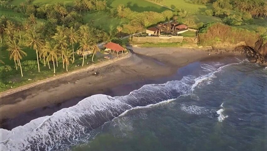 Aerial view of a tropical beach with palm trees, a sandy shore, and cottages near green fields by the water.