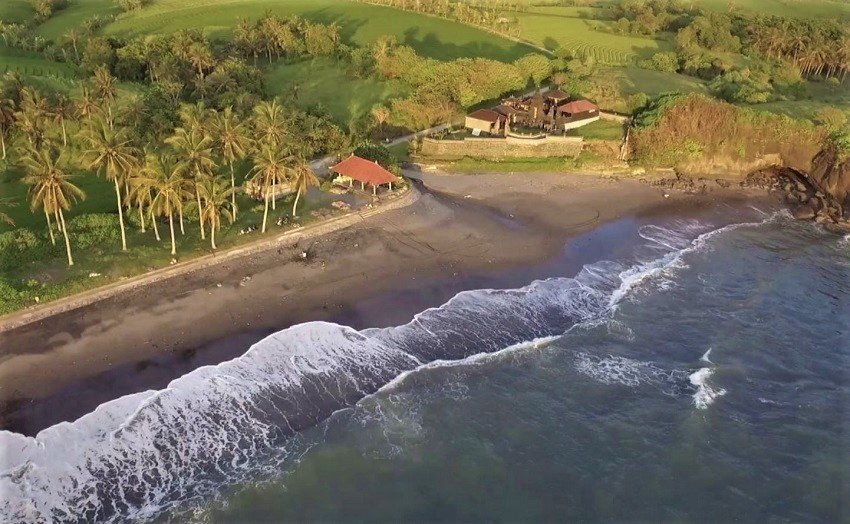 Aerial view of a tropical beach with palm trees, a sandy shore, and cottages near green fields by the water.