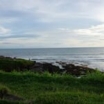 Green grassy foreground with wooden crates overlooking a rocky shoreline and calm ocean under a cloudy sky at sunset; people picnicking on the left edge.