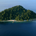 Aerial view of a lush, forested island with sandy beaches and a wooden pier extending into calm blue water.