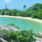 Tropical beach with turquoise water, white sand, and green palm trees framed by large gray rocks in the foreground.