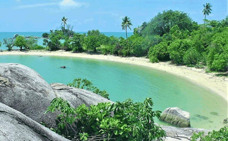 Tropical beach with turquoise water, white sand, and green palm trees framed by large gray rocks in the foreground.
