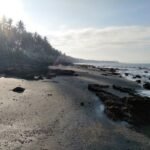 Sunlit tropical beach with palm trees along a rocky shore and calm waves to the sea's edge as the sun shines overhead.