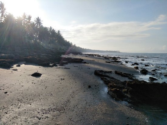 Sunlit tropical beach with palm trees along a rocky shore and calm waves to the sea's edge as the sun shines overhead.