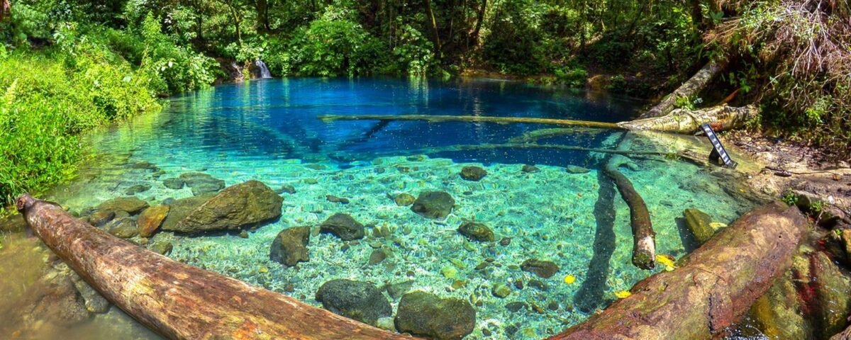 Clear turquoise pool in a lush forest, with fallen logs along the water’s edge and green foliage surrounding it.