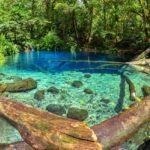 Clear turquoise pool in a lush forest, with fallen logs along the water’s edge and green foliage surrounding it.