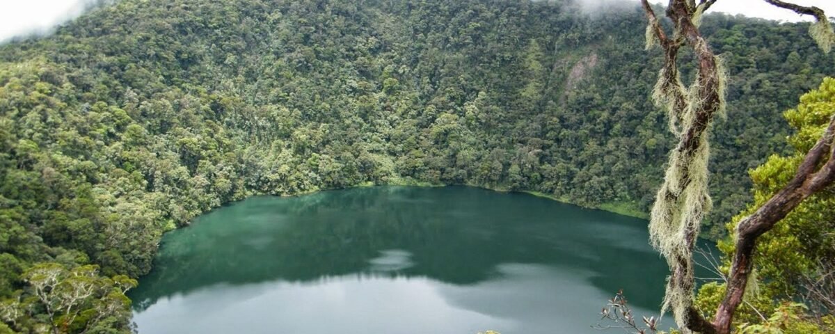 A tranquil emerald lake encircled by dense forest on a volcanic crater rim, with a mossy tree in the foreground on the right and low clouds above.