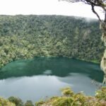 A tranquil emerald lake encircled by dense forest on a volcanic crater rim, with a mossy tree in the foreground on the right and low clouds above.