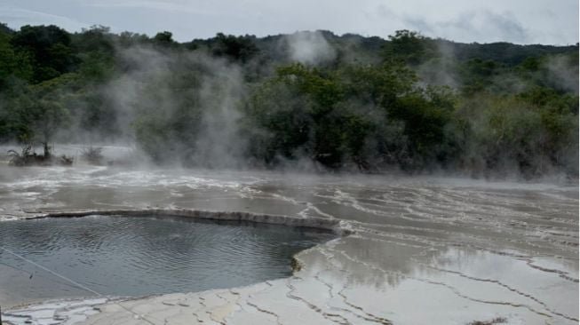 Geothermal hot spring with steaming pool and white travertine terraces; a forested hillside in the background.
