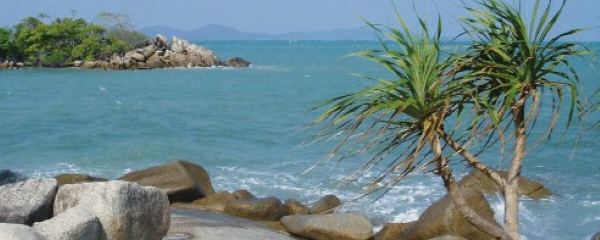 Tropical rocky shoreline with two small palm trees, turquoise water, and a distant island on a clear blue day.