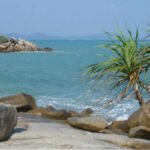 Tropical rocky shoreline with two small palm trees, turquoise water, and a distant island on a clear blue day.
