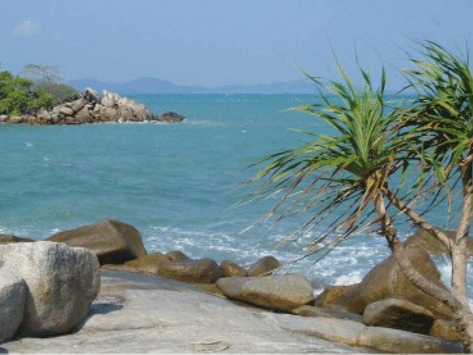 Tropical rocky shoreline with two small palm trees, turquoise water, and a distant island on a clear blue day.