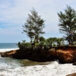 Rocky island covered with palm trees extends into calm blue ocean under a clear sky with gentle waves.